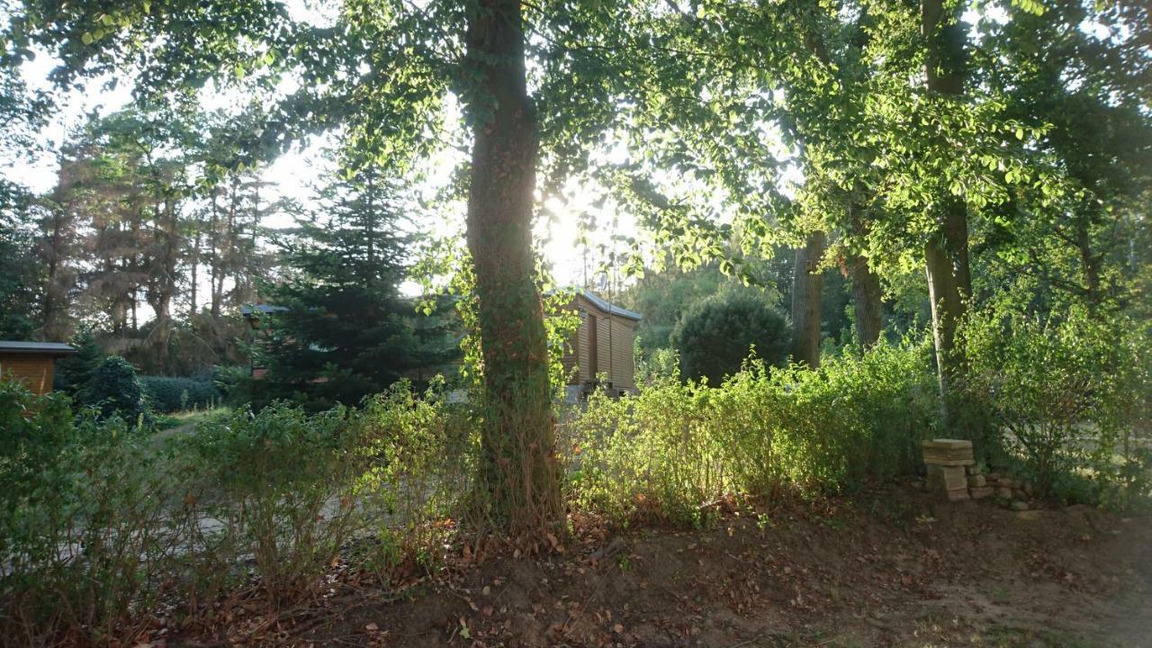 Waldhaus Halvor Villa Zichtau Eksteriør bilde